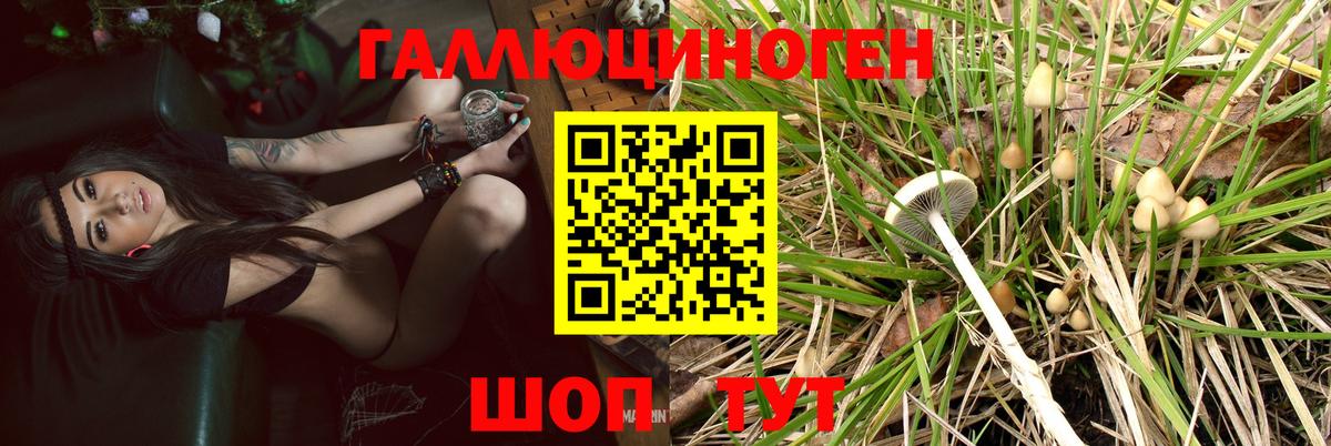 Канаш  Галлюциногенные грибы ЛСД  Вход с VPN 